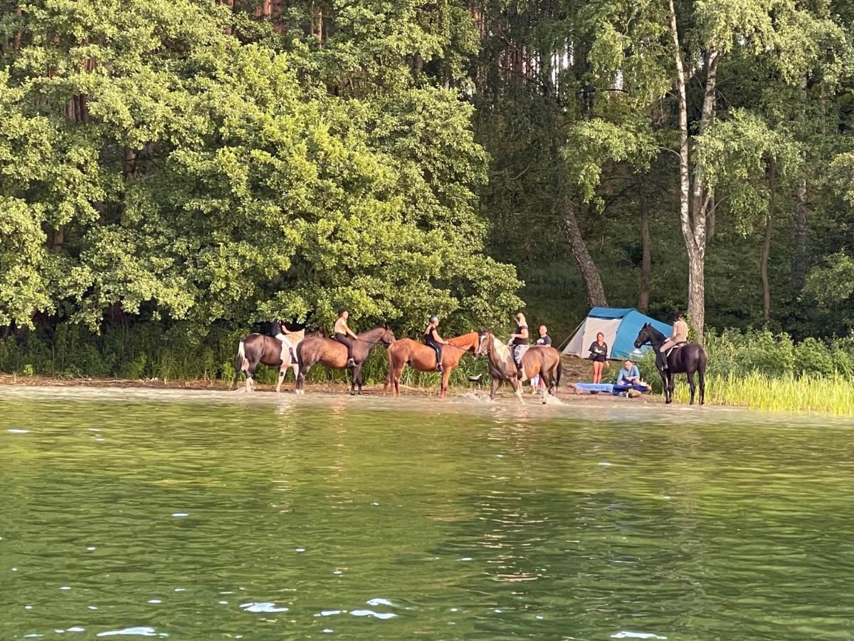 Schadzka W Dwunastce Z Widokiem Na Jezioro Borsk Exteriör bild